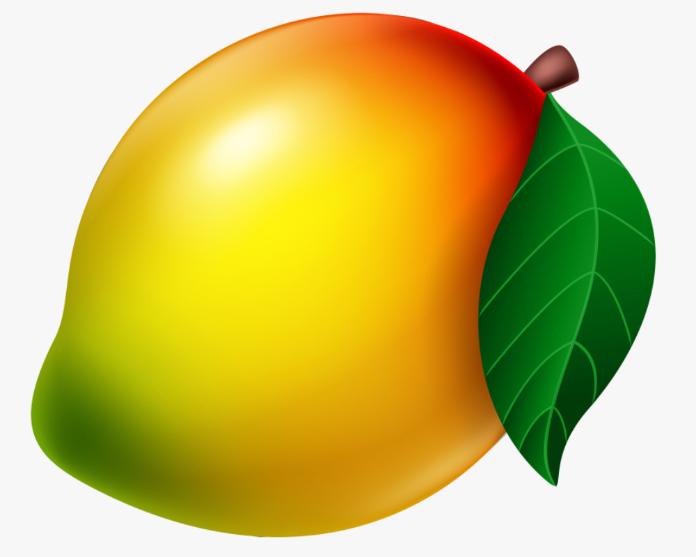 Colorlib Template